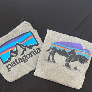 Patagonia Men's Heather Gray Crewneck long sleeves set of 2